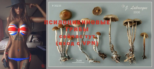 СК Липки