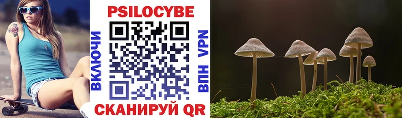 Псилоцибиновые грибы Psilocybe  Купить закладки  Спасск-Дальний 